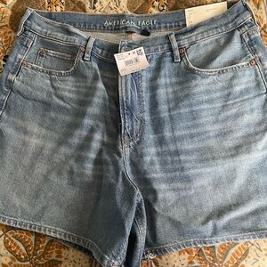 American Eagle Outfitters Light Blue Jean Shorts